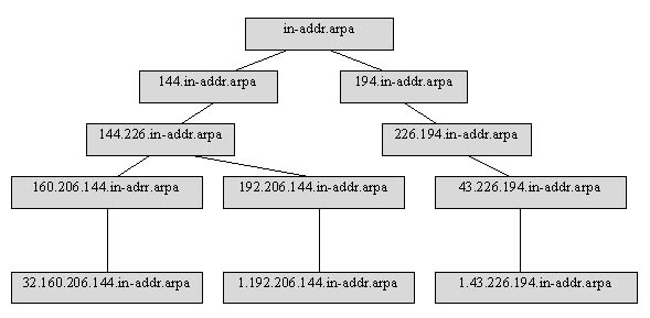 Пример структуры части домена in-addr.arpa